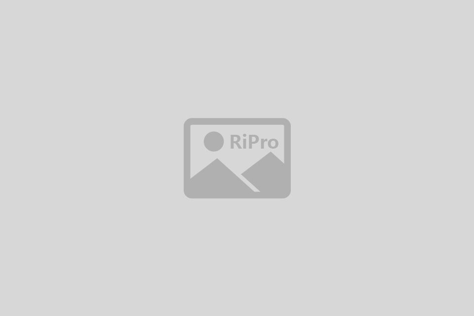 ZZTESTQA30733-pub