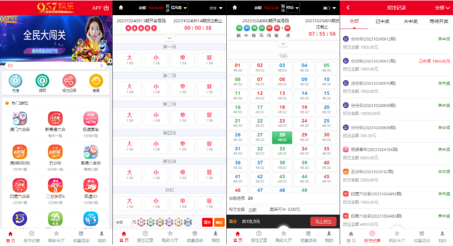 957娱乐大富彩票源码/WAP+PC端/录制了视频教程的版本